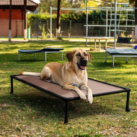Veehoo Anti-chew Training Bed Brown Chew-Proof Beds image8 Veehoo Anti-chew Training Bed Brown Chew-Proof Beds image8