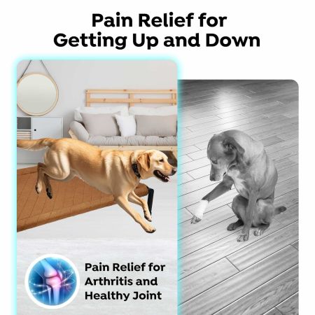 Veehoo Plush Fleece Elevated Dog Bed Blue Elevated Beds image10