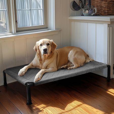 Veehoo Soft Plush Elevated Dog Bed Gray Sales image8 Veehoo Soft Plush Elevated Dog Bed Gray Sales image8