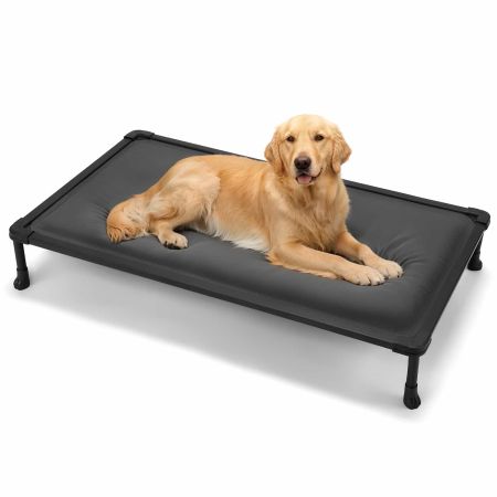 Veehoo Chewproof Padded Raised Pet Cot, Elevated Cooling Beds | VEEHOO