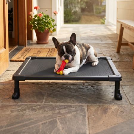 Veehoo Chew-Proof Small Elevated Dog Bed image1