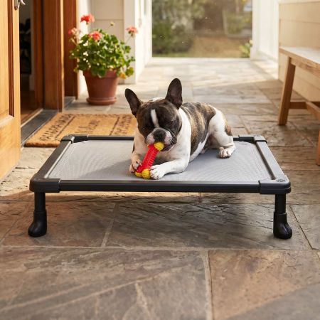Veehoo Chew-Proof Small Elevated Dog Bed Gray New Arrivals image7 Veehoo Chew-Proof Small Elevated Dog Bed Gray New Arrivals image7
