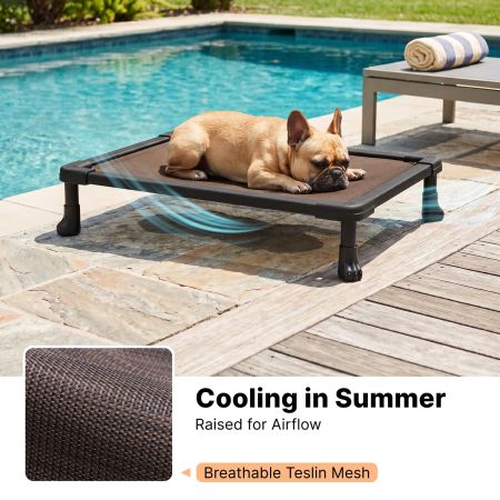 Veehoo Chew-Proof Small Elevated Dog Bed Brown New Arrivals image5