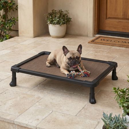 Veehoo Chew-Proof Small Elevated Dog Bed Brown New Arrivals image7