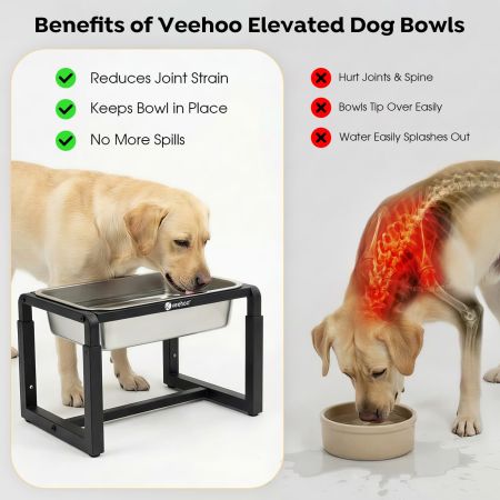 Veehoo 2.4 Gallon Elevated Outdoor Dog Water Bowl with Adjustable Stand Black New Arrivals image6 Veehoo 2.4 Gallon Elevated Outdoor Dog Water Bowl with Adjustable Stand Black New Arrivals image6