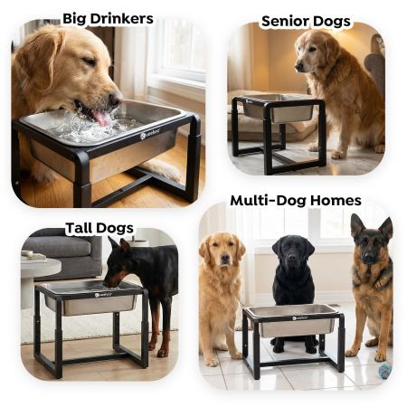 Veehoo 2.4 Gallon Elevated Outdoor Dog Water Bowl with Adjustable Stand Black New Arrivals image7 Veehoo 2.4 Gallon Elevated Outdoor Dog Water Bowl with Adjustable Stand Black New Arrivals image7