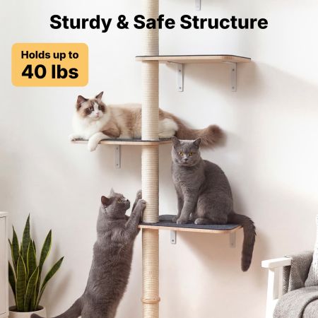 Veehoo Wall Mounted Cat Tree for Large Cats Beige Sales image3 Veehoo Wall Mounted Cat Tree for Large Cats Beige Sales image3