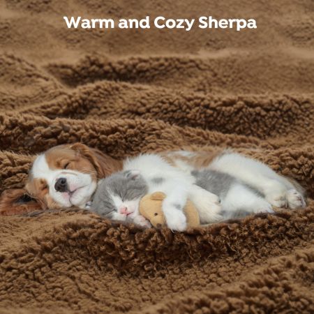 Veehoo Luxurious Filling Dog Pillow Bed Brown Beds & Condos image6