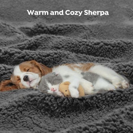 Veehoo Luxurious Filling Dog Pillow Bed Gray Beds & Condos image6