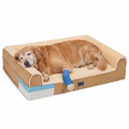 Veehoo Orthopedic Dog Bed with 3-Sided Bolster Yellow Bolster & Sofa Beds image1 Veehoo Orthopedic Dog Bed with 3-Sided Bolster Yellow Bolster & Sofa Beds image1