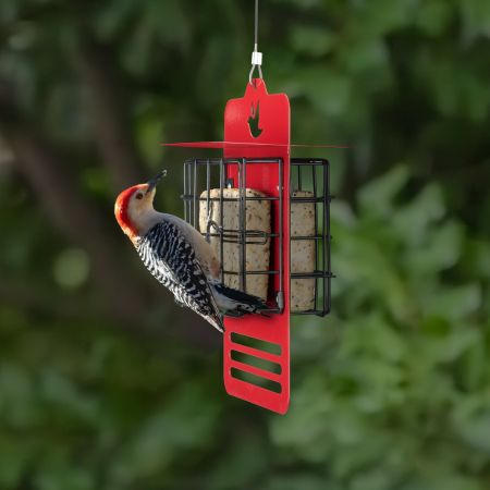Veehoo Dual-Sided Suet Bird Feeder for Outdoors image1