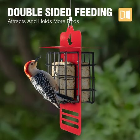 Veehoo Dual-Sided Suet Bird Feeder for Outdoors Black New Arrivals image6
