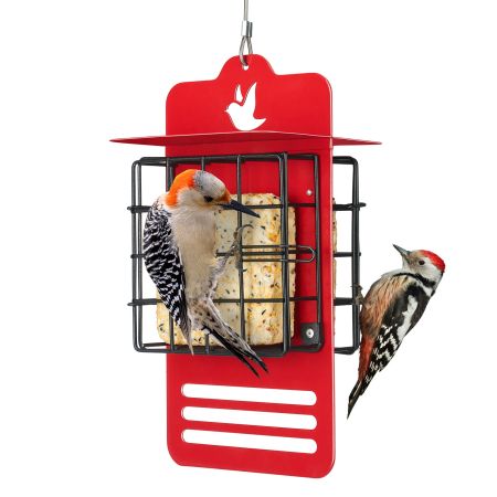Veehoo Dual-Sided Suet Bird Feeder for Outdoors Black New Arrivals image7