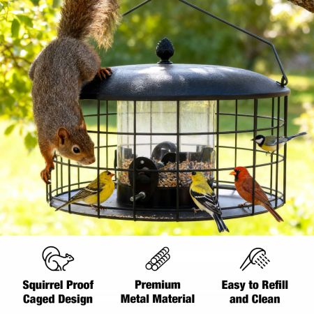 Veehoo Squirrel-Proof Metal Bird Feeder with Caged Design Black New Arrivals image3 Veehoo Squirrel-Proof Metal Bird Feeder with Caged Design Black New Arrivals image3