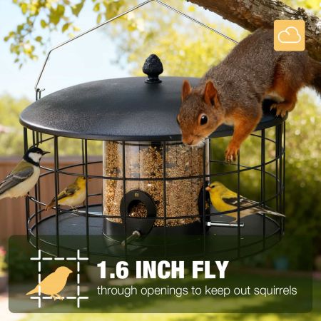 Veehoo Squirrel-Proof Metal Bird Feeder with Caged Design Black New Arrivals image5 Veehoo Squirrel-Proof Metal Bird Feeder with Caged Design Black New Arrivals image5