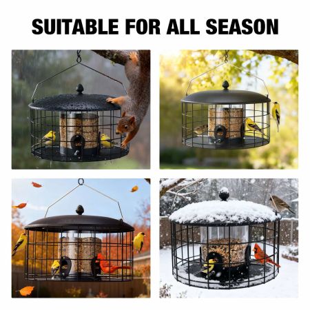 Veehoo Squirrel-Proof Metal Bird Feeder with Caged Design Black New Arrivals image7 Veehoo Squirrel-Proof Metal Bird Feeder with Caged Design Black New Arrivals image7