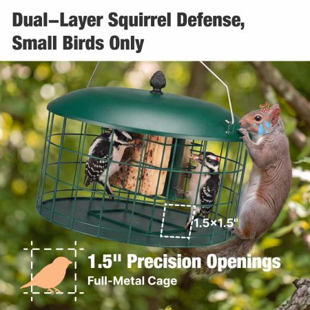Veehoo Double Compartment Suet Feeder with Wider Platform Green New Arrivals image4