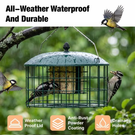 Veehoo Double Compartment Suet Feeder with Wider Platform Green New Arrivals image5