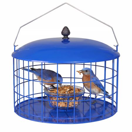 Veehoo Caged Bluebird Feeder with Squirrel-Proof Metal Design Blue Squirrel Proof Feeders image1 Veehoo Caged Bluebird Feeder with Squirrel-Proof Metal Design Blue Squirrel Proof Feeders image1