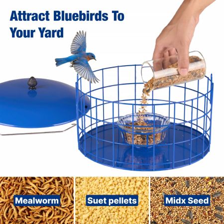 Veehoo Caged Bluebird Feeder with Squirrel-Proof Metal Design Blue Squirrel Proof Feeders image3 Veehoo Caged Bluebird Feeder with Squirrel-Proof Metal Design Blue Squirrel Proof Feeders image3