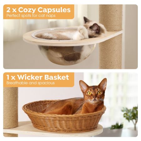 Veehoo Floor to Ceiling Cat Tree, Sales VEEHOO