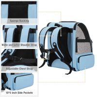 Veehoo Pet Backpack Carrier Bag  with Ventilated Design