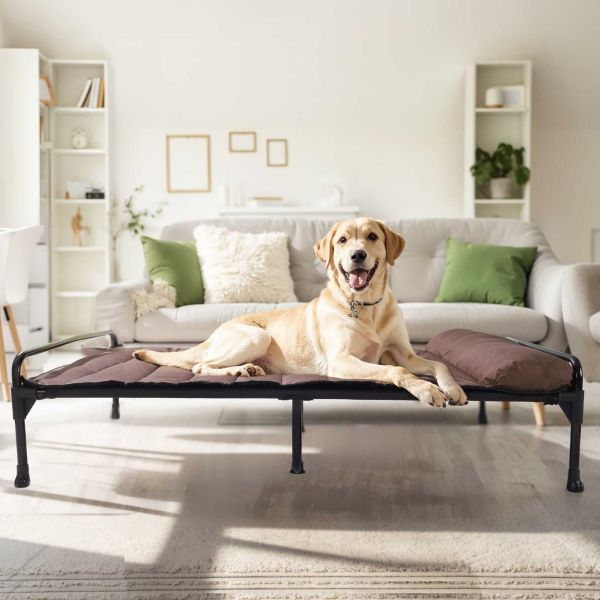 Veehoo Elevated Dog Bed with Removable Bolster Mat-User Manual