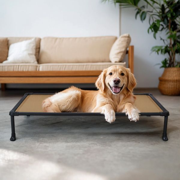 Veehoo Oxford Fabric Anti-chew Training Bed-User Manual