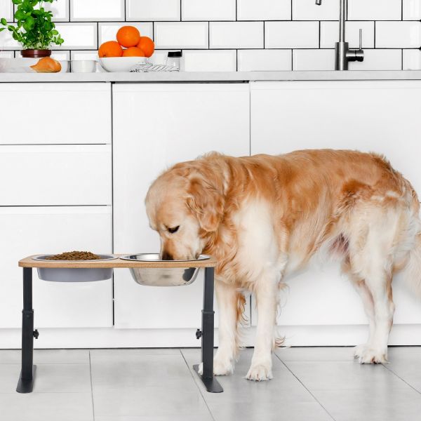Veehoo Elevated Dog Bowls-User Manual