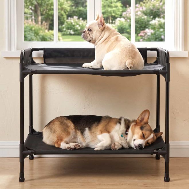 Veehoo Double Tier Dog Bed for Side-by-Side Sleeping image1