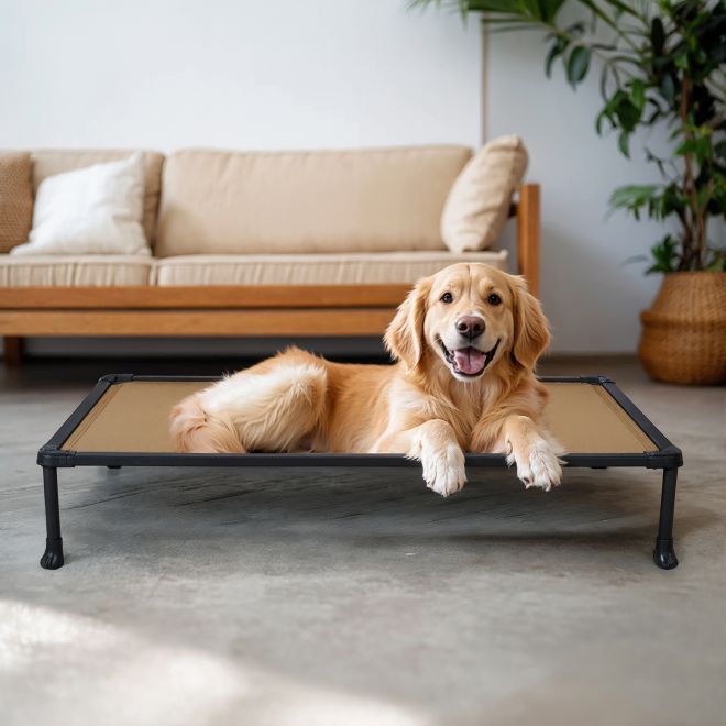 Veehoo Oxford Fabric Anti-chew Training Bed Sales image1