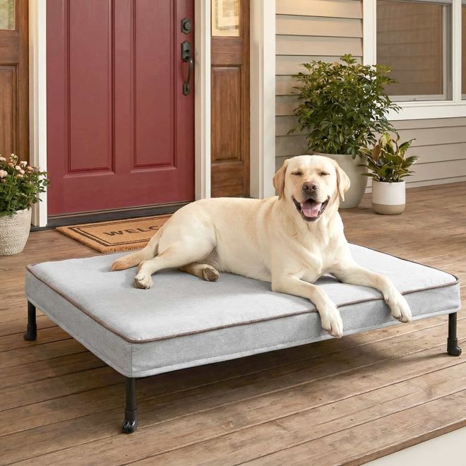 Veehoo Waterproof Stain Resistant Elevated Dog Bed image1