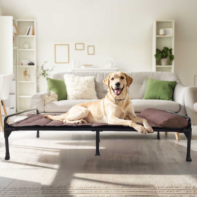 Veehoo Elevated Dog Bed with Removable Bolster Mat Dog image1