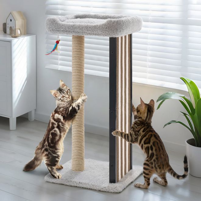 Veehoo 35'' Tall Cat Scratching Post with Scratching Pads New Arrivals image1