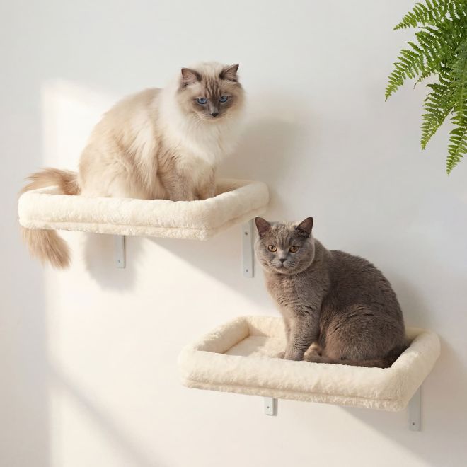 Veehoo 2-Pack Cat Wall Shelves for Large Cats Cat image1