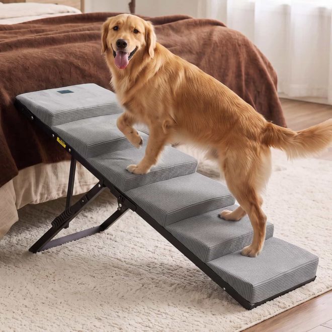 Veehoo Adjustable Pet Ramp for Senior Dogs Steps & Ramps image1