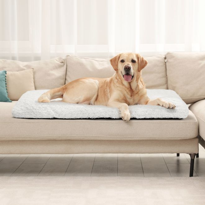 Veehoo Plush Dog Crate Pad with Anti-Slip Bottom Pillow Beds image1