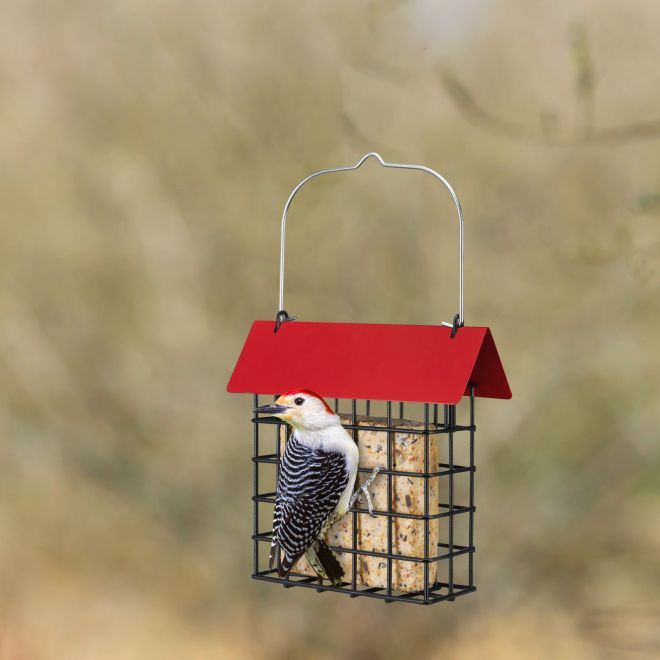 Veehoo 2PCS Suet Bird Feeder for Outside Bird image1