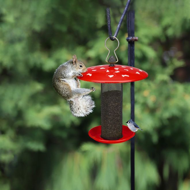 Veehoo Metal Mesh Tube Bird Feeders for Outdoor Bird image1