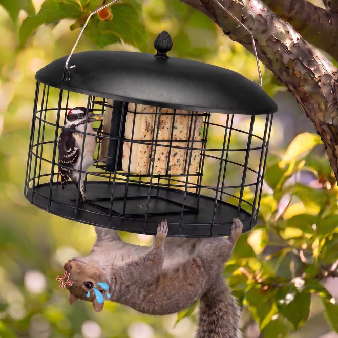Veehoo Double Compartment Suet Feeder with Wider Platform New Arrivals image1